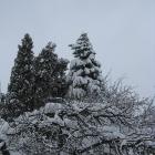 Po dwóch dniach ciągłych opadów śniegu, niebo zrobiło sie łaskawsze